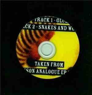 Jackson Analogue - Glue