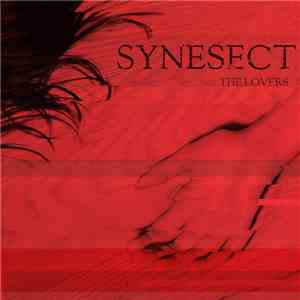 Synesect - The Lovers