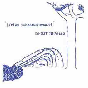 The Curtains / Ghost To Falco - Split 7