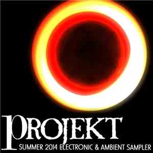 Various - Summer 2014 Electronic & Ambient Sampler