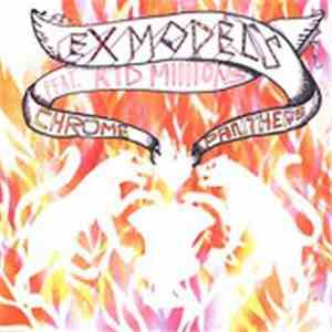 Ex Models - Chrome Panthers
