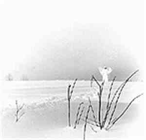 Timo Rautiainen & Trio Niskalaukaus - In Frostigen Tälern