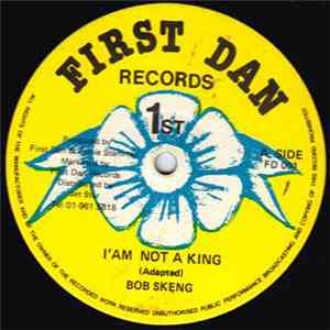 Bob Skeng - I Am Not A King