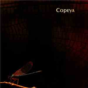 Copeya - Nymph