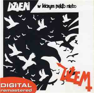 Dżem - Dzień, W Którym Pękło Niebo