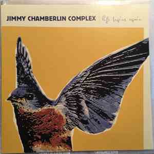 Jimmy Chamberlin Complex - Life Begins Again