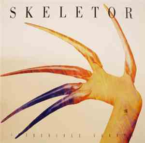 Skeletor - Incredible Groove