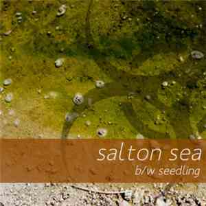 Louis Haiman - Salton Sea