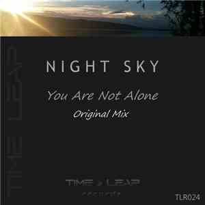 Night Sky - You Are Not Alone