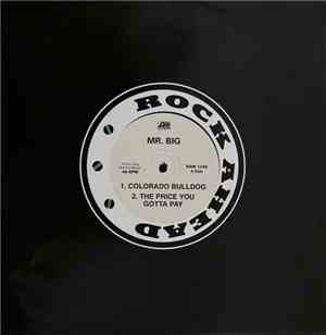Mr. Big - Colorado Bulldog