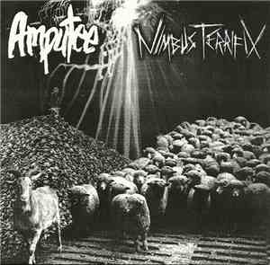 Amputee  / Nimbus Terrifix - Amputee / Nimbus Terrifix