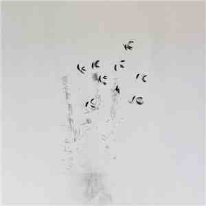 Ken Ikeda + David Toop - Skin Tones