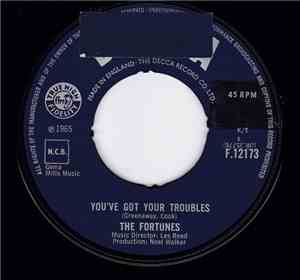 The Fortunes - You've Got Your Troubles