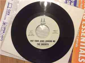 The Sherrys - Put Your Arms Around Me / Happy Girl