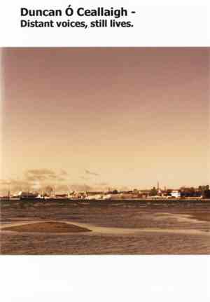 Duncan Ó Ceallaigh - Distant Voices, Still Lives