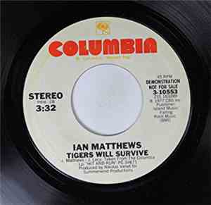 Iain Matthews - Tigers Will Survive