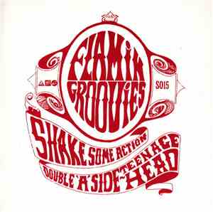 The Flamin' Groovies - Shake Some Action