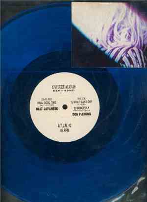 1/2 Japanese / Don Fleming - Untitled