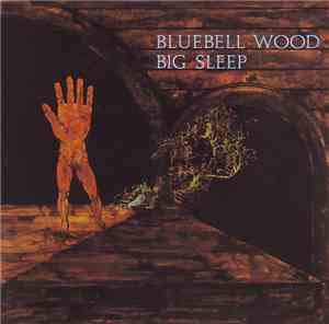 Big Sleep  - Bluebell Wood
