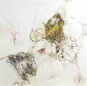 Morphogenesis - Formative Causation