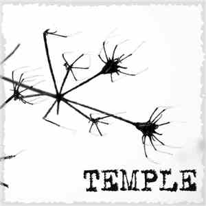 Temple  - Раствор