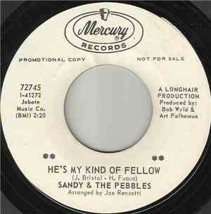 Sandy & The Pebbles - He's My Kind Of Fellow / My Foolish Little Heart