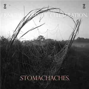 Frnkiero Andthe Cellabration. - .Stomachaches.