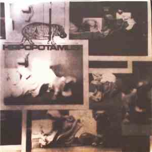 Hippopotamus - Attn:Span