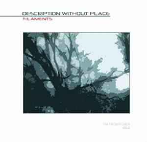 Description Without Place - Filaments