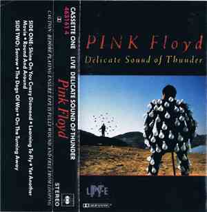 Pink Floyd - Delicate Sound Of Thunder