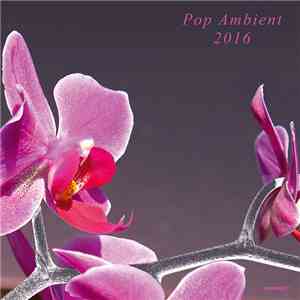 Various - Pop Ambient 2016