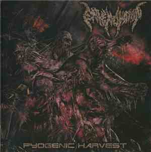 Envenomation - Pyogenic Harvest