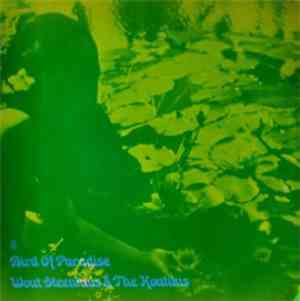 Wout Steenhuis & The Kontikis - Bird Of Paradise