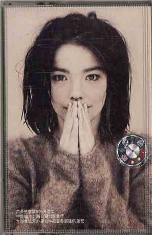 Björk - Debut