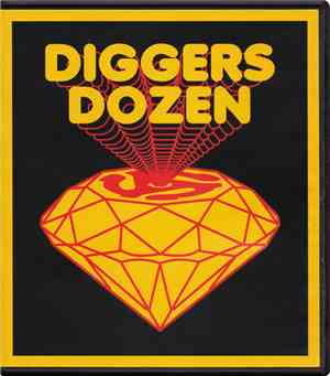 DJ Format - Diggers Dozen Live Sessions