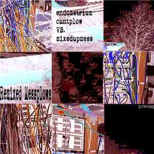 Endometrium Cuntplow VS. Mixedupmess - Remixed Messplows