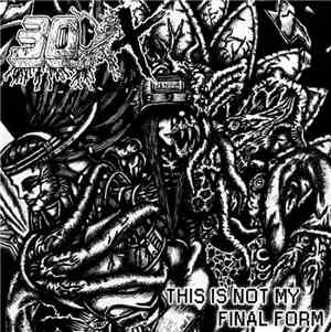 30XX - This Is Not My Final Form