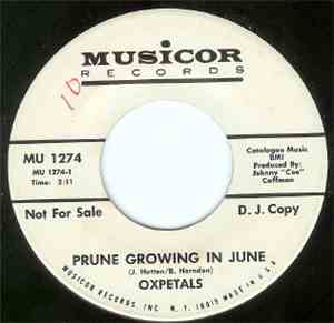 Oxpetals - Prune Growing In June / Walking Down The Sunny Side