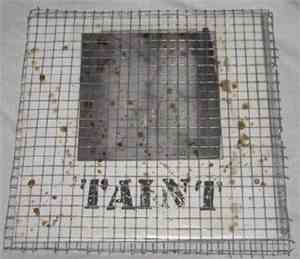 Taint - Indecent Liberties