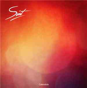 Sint  - Calendula