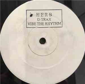 D-Trax  - Vibe The Rhythm