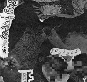 Fossils - Fossils