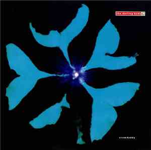The Darling Buds - Crawdaddy