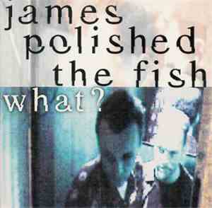 James Polished The Fish - What?
