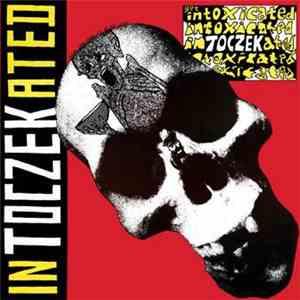 Nick Toczek - Totally Intoczekated
