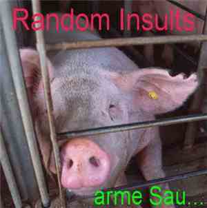 Random Insults - Arme Sau
