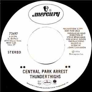 Thunderthighs - Central Park Arrest