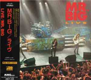 Mr. Big - Live