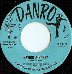 Unknown Artist - Having A Party