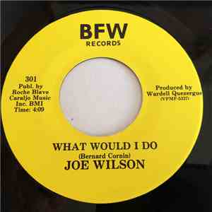 Joe Wilson  - What Would I Do / Pretty Oakland Woman